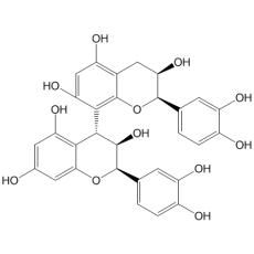 原花青素 B2