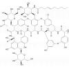 Teichomycin