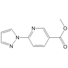 6-吡唑-1-基-烟酸甲酯