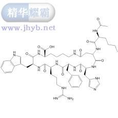 布雷默浪丹 PT 141