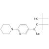 2-(Piperidin-1-yl)pyridine-5-boronic acid pinacol ester