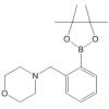 2-(4-Morpholinomethyl)phenylboronic acid pinacol ester