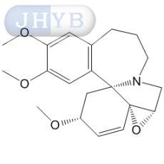 表台湾山尖沙碱