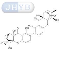 ǻCC22䣩