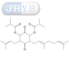 Eerectquione B