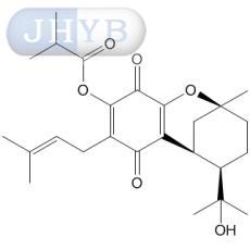 Erectquione C