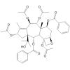 2α,7β-二苯甲酰基-5β,20-环氧-1β-羧基-4α,9α,10β,13α-四乙酰氧基紫杉-11-稀