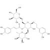 3,4-二羟基-β-乙氧苯基-O-α-L鼠李糖吡喃-(1→3)-O-β-D-葡萄糖吡喃-(1→6)-4-O-咖啡酰基-β-D-吡喃葡萄糖苷
