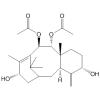 9α,10β-二乙酰氧基-5α,13α-二羟基-4（20）,11-紫杉二烯