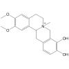 2,3-Dimethoxy-9,10-dihydroxy-N-methyl-tetrahydro-protober berine quaternary