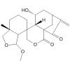 6-Epiangustifolin