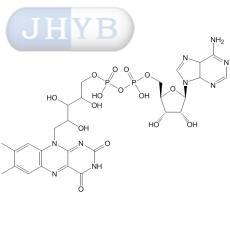 黄素腺嘌呤二核苷酸
