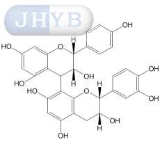 黑儿茶素 C