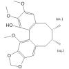 ()- M1