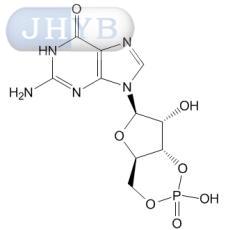 鸟苷3',5'-环状单磷酸酯