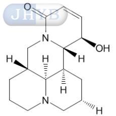 --12-ǻ״̻