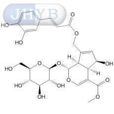 10-O-Caffeoyl-6-epiferetoside