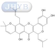 异叶波罗蜜环黄酮素