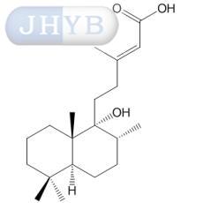 9-ǻ-13E-ٵϩ-15-