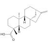 Kaurenoic acid