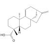 Grandiflorenic acid