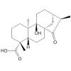 ent-9-Hydroxy-15-oxokaur-16-en-19-oic acid