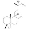 13-Epim...