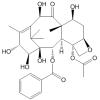 14β-羟基-10-去乙酰基浆果赤霉素 III