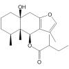 10β-强基呋喃并佛术烷-6β-yl-2′ζ-甲基丁酸酯