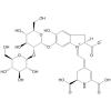 异甜菜素-6-O-β-槐糖苷