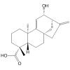 12α-Hydroxygrandiflorenic acid