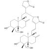 Bisandrographolide A