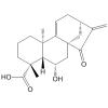 Pterisolic acid B