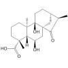 Pterisolic acid D
