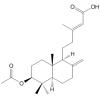 3-乙酰氧基-8(17),13E -劳丹二烯-15-酸