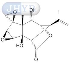 羟基马桑毒内酯
