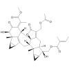 Chlorahololide D