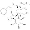 6-O-trans-Cinnamoylphlorigidoside B