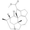 Longistylumphylline A