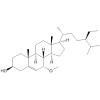 Schleicheol 2