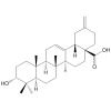 3-Epiakebonoic acid