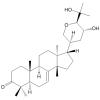 Bourjotinolone A