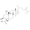 23-deoxojessic acid