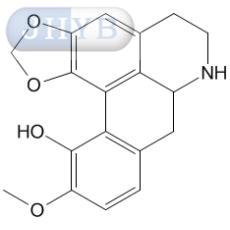 ޸ٴμ