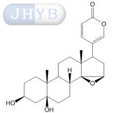 Ե׸ާ B