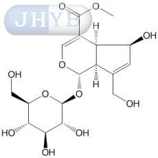 去乙酰基车叶草苷酸甲酯