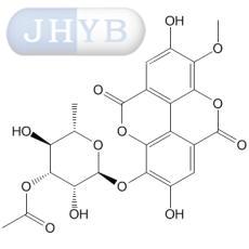 3-O-׻ûʳ-3'-O--3-O-