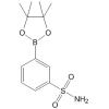 Benzenesulfonamide-3-boronic acid pinacol ester