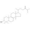 24-亚甲基-8-羊毛甾烯醇
