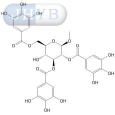 2,3,6-O-三没食子酰-β-D-吡喃葡萄糖甲苷